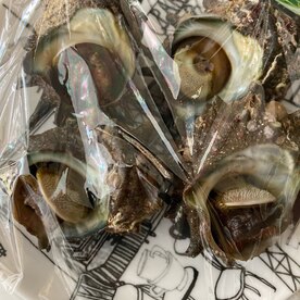 サザエ の半生お刺身 レシピ 作り方 By Rikugon 楽天レシピ サザエ の半生お刺身 レシピ 作り方 By Rikugon 楽天レシピ